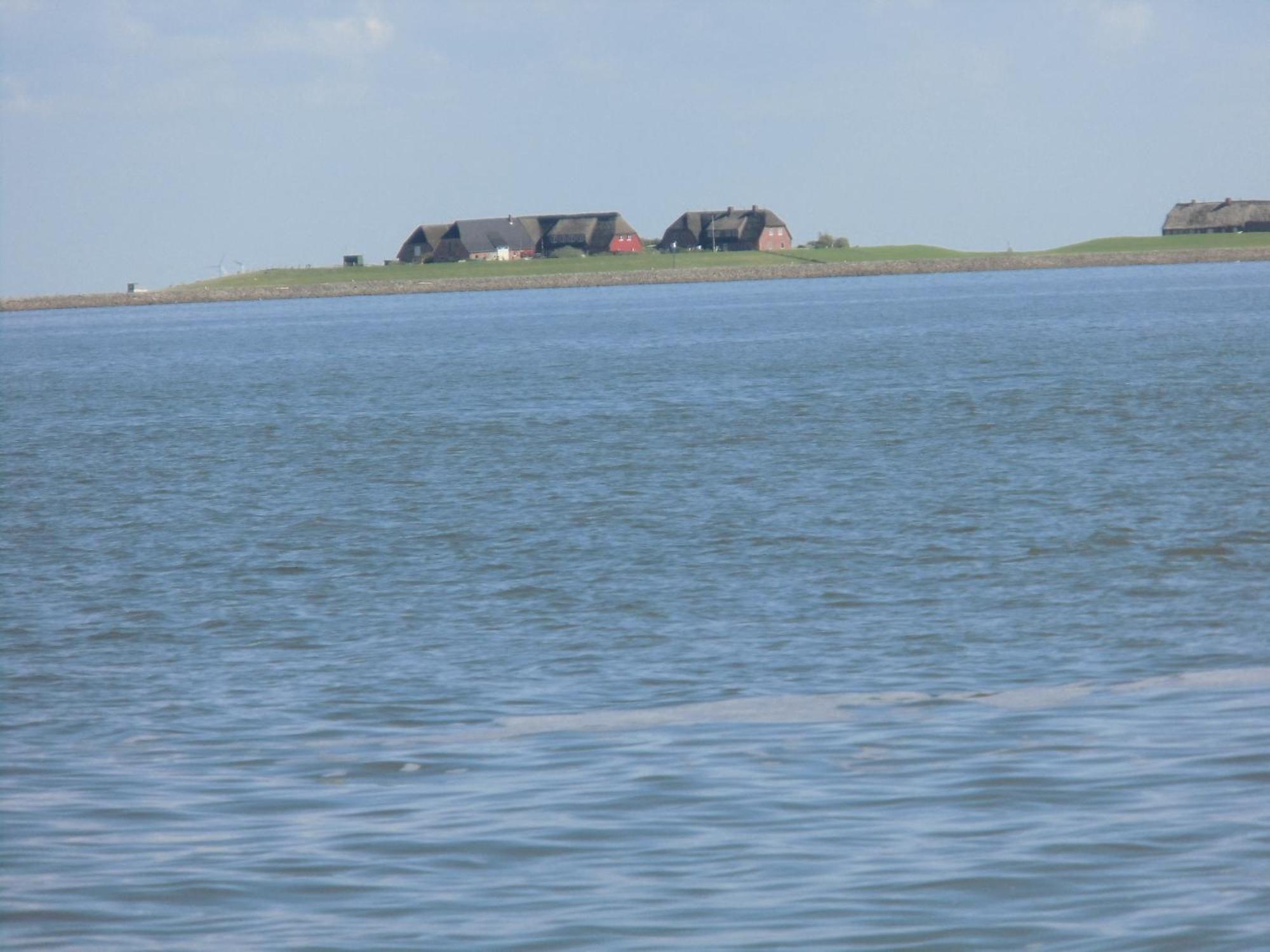 Haus Halligblick, Ferienwohnungen Am Wattenmeer, Whg Langenness Dagebüll Kültér fotó